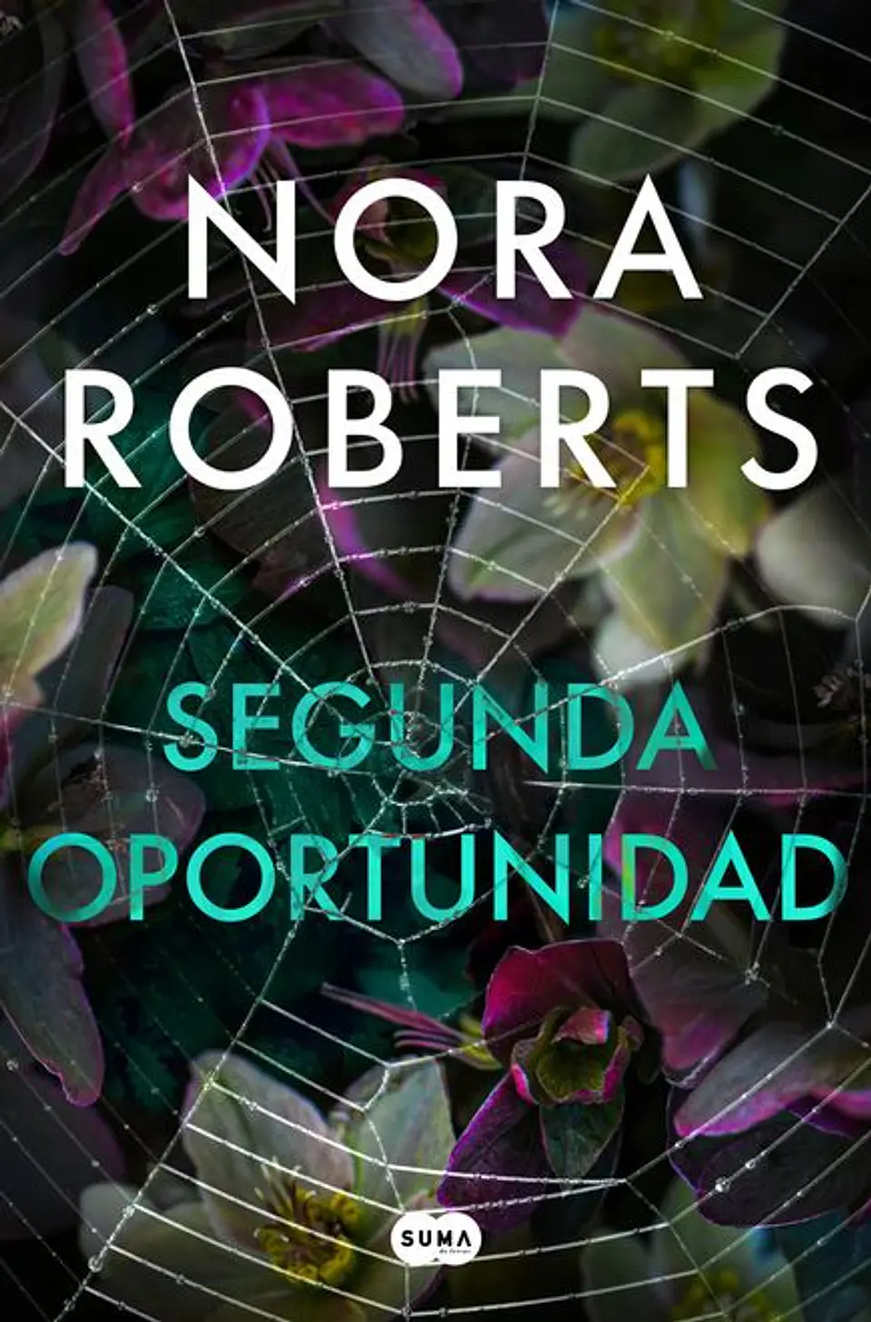 SEGUNDA OPORTUNIDADES 1