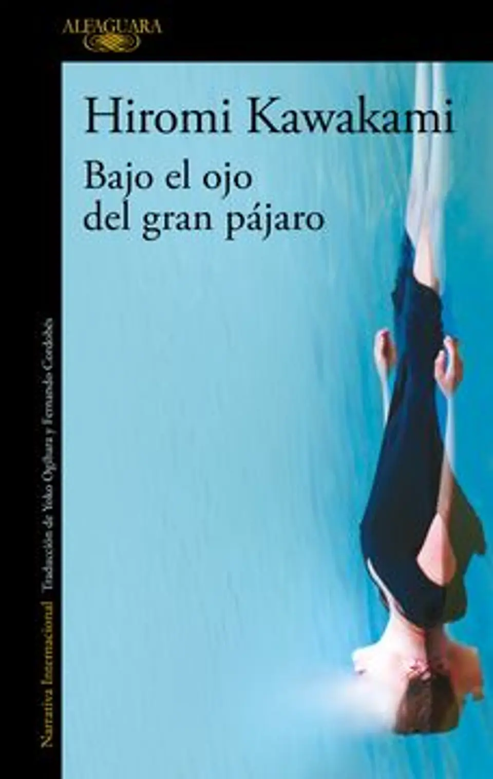 BAJO EL OJO DEL GRAN PAJARO 1