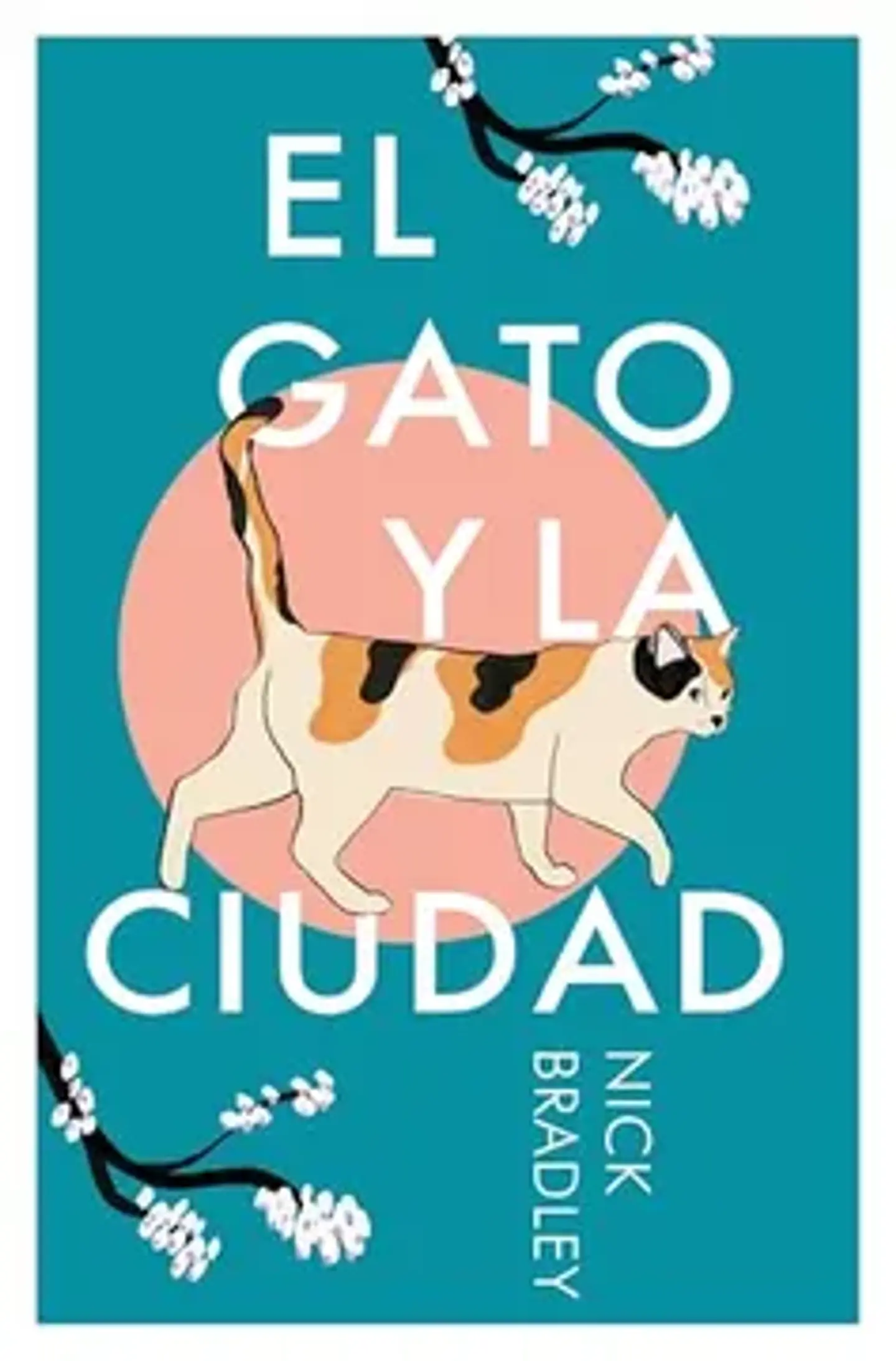 EL GATO Y LA CIUDAD 1