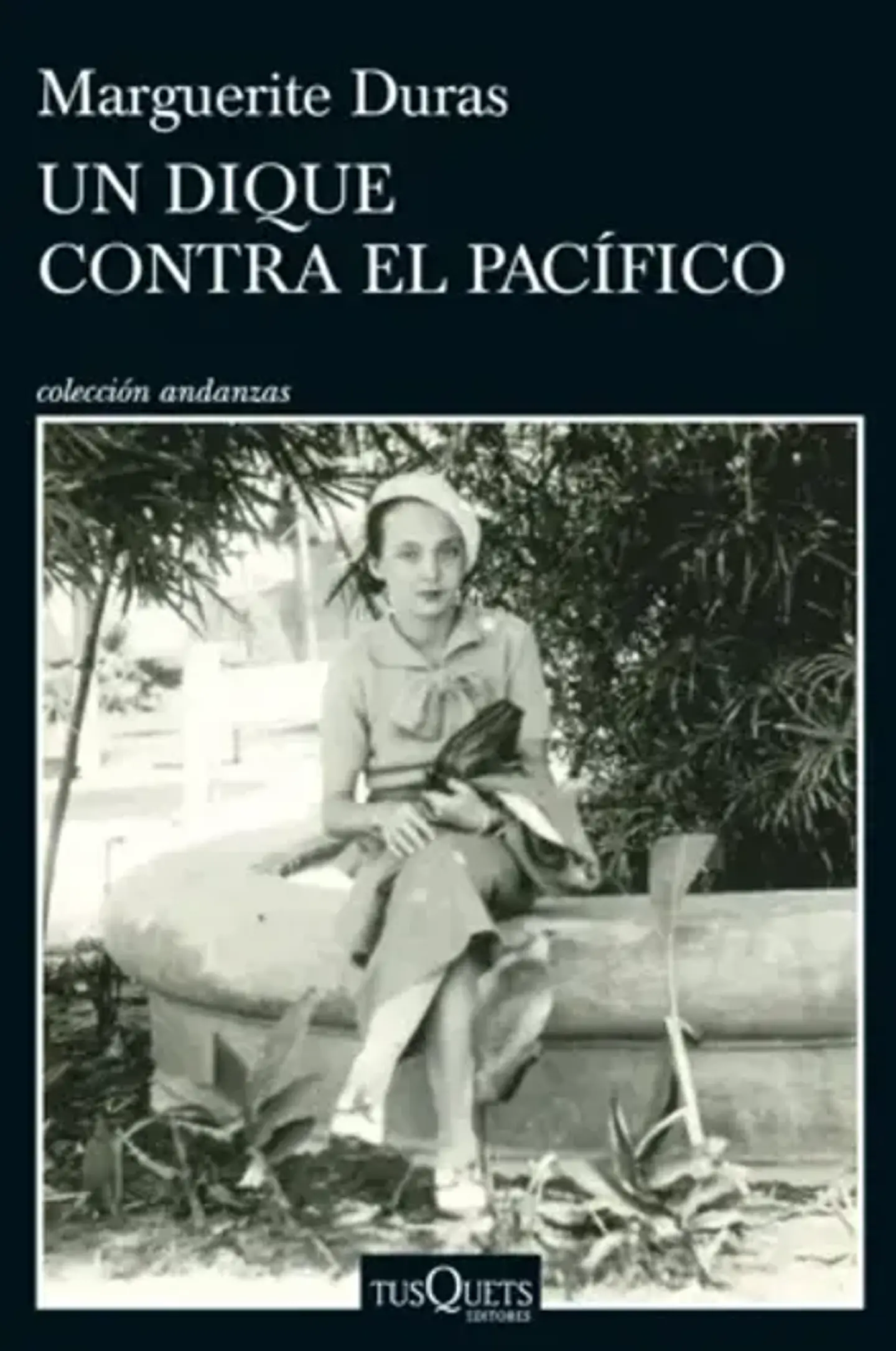 UN DIQUE CONTRA EL PACIFICO 1