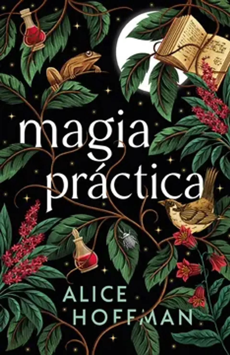 MAGIA PRACTICA 1