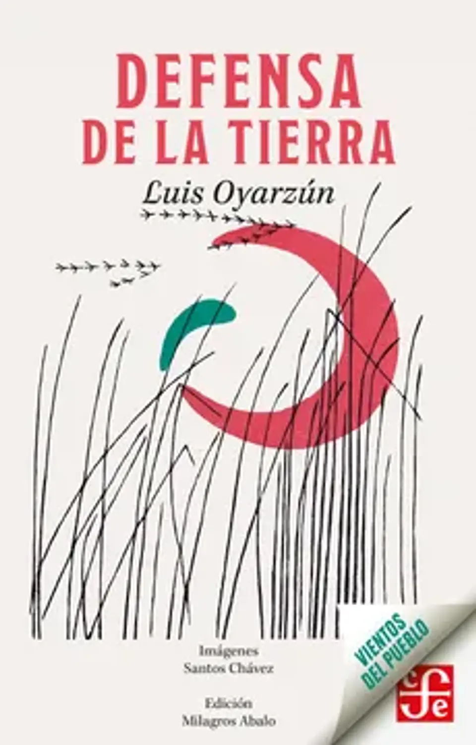 DEFENSA DE LA TIERRA 1