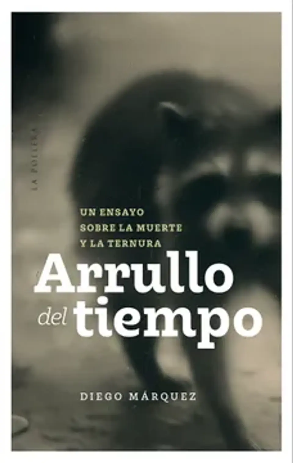 ARRULLO DEL TIEMPO 1