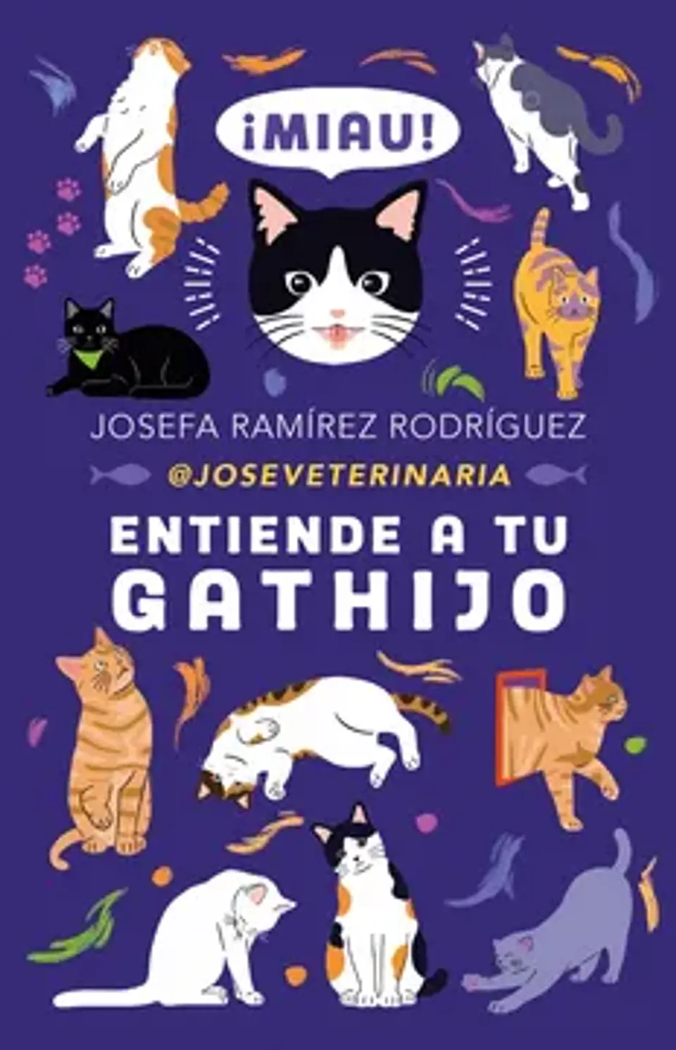 ENTIENDE A TU GATHIJO 1