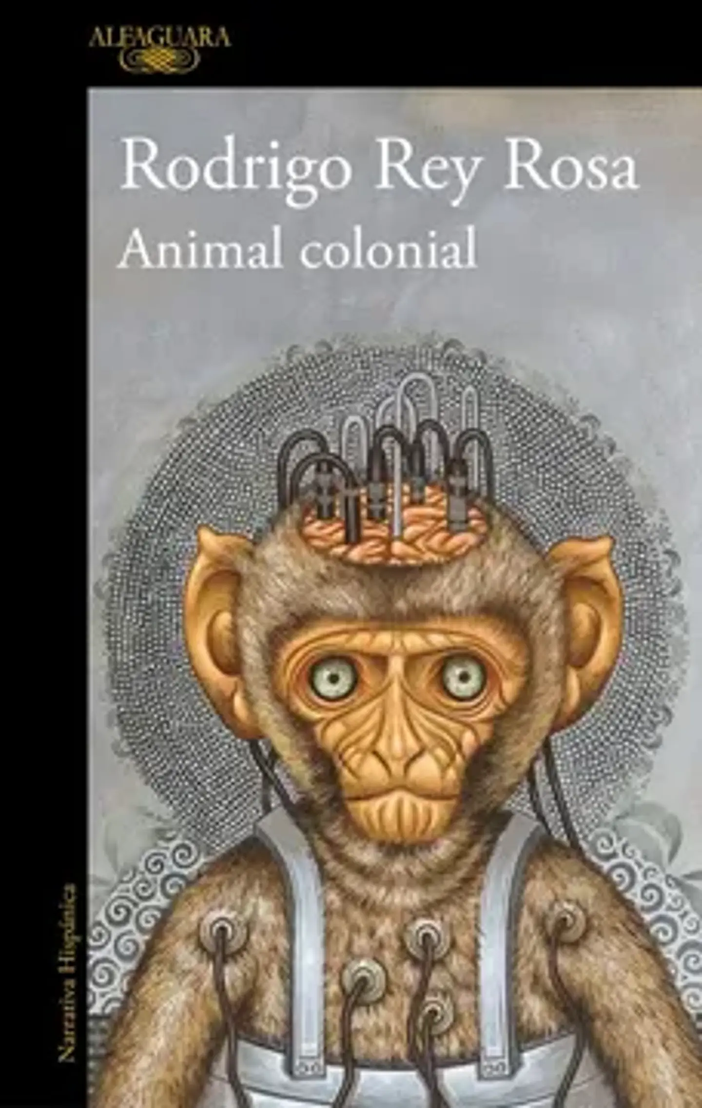 ANIMAL COLONIAL 1