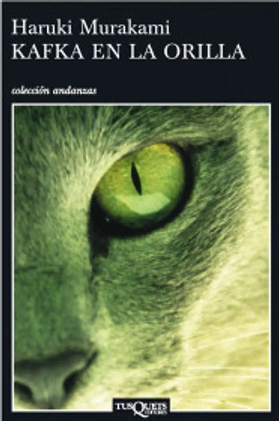 KAFKA EN LA ORILLA 1