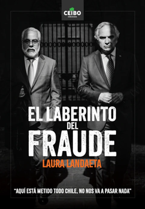 EL LABERINTO DEL FRAUDE