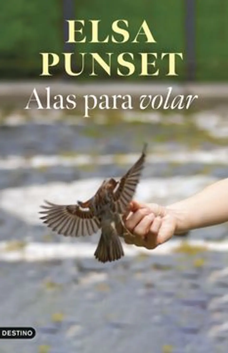 ALAS PARA VOLAR 1