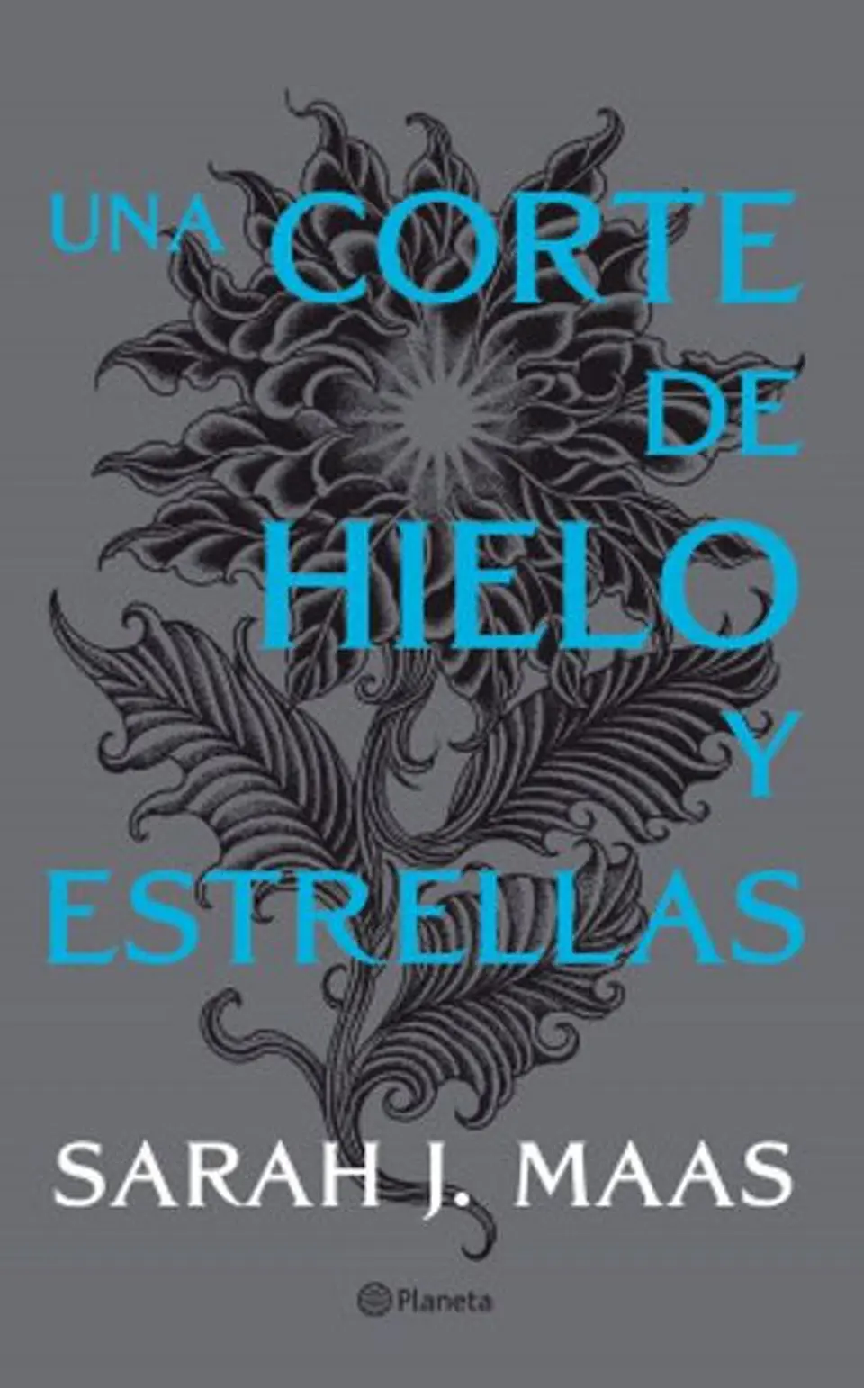UNA CORTE DE HIELO Y ESTRELLAS 1
