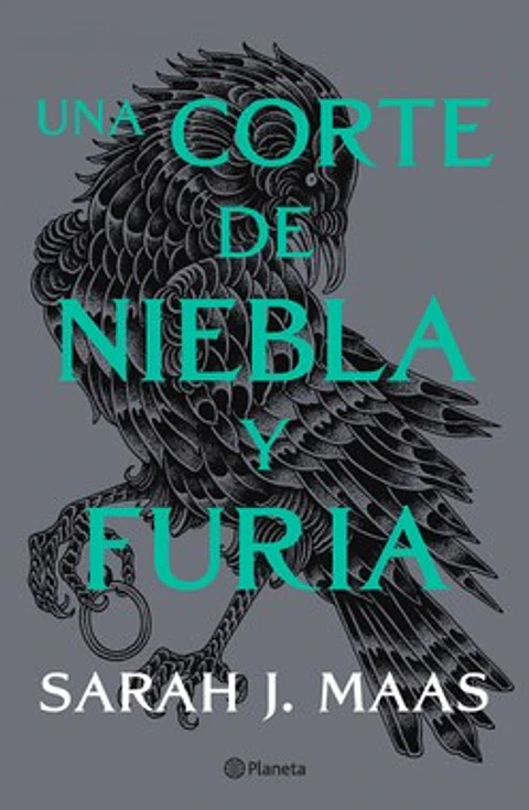 UNA CORTE DE NIEBLA Y FURIA ED ESPECIAL