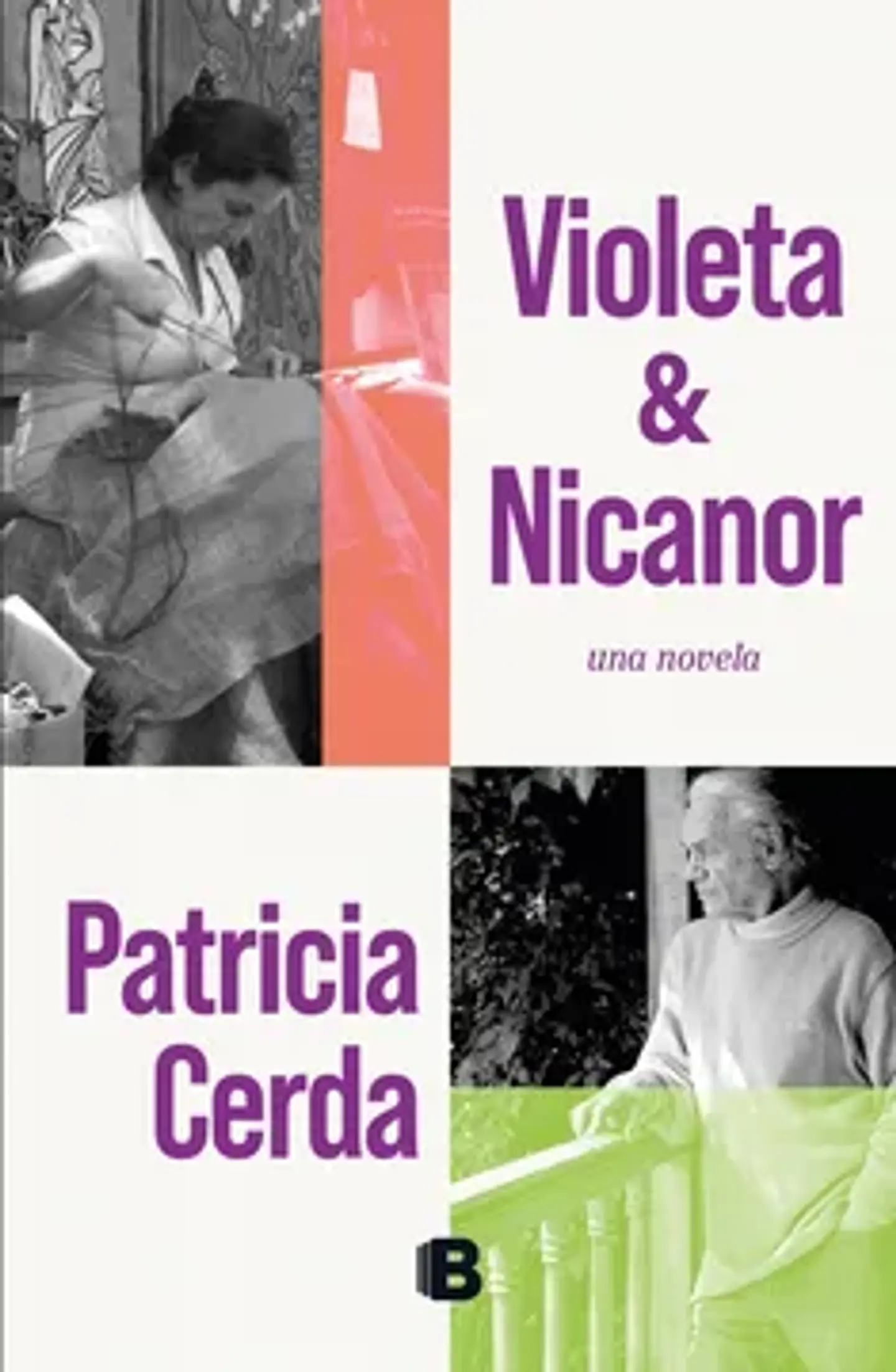 VIOLETA Y NICANOR UNA NOVELA 1