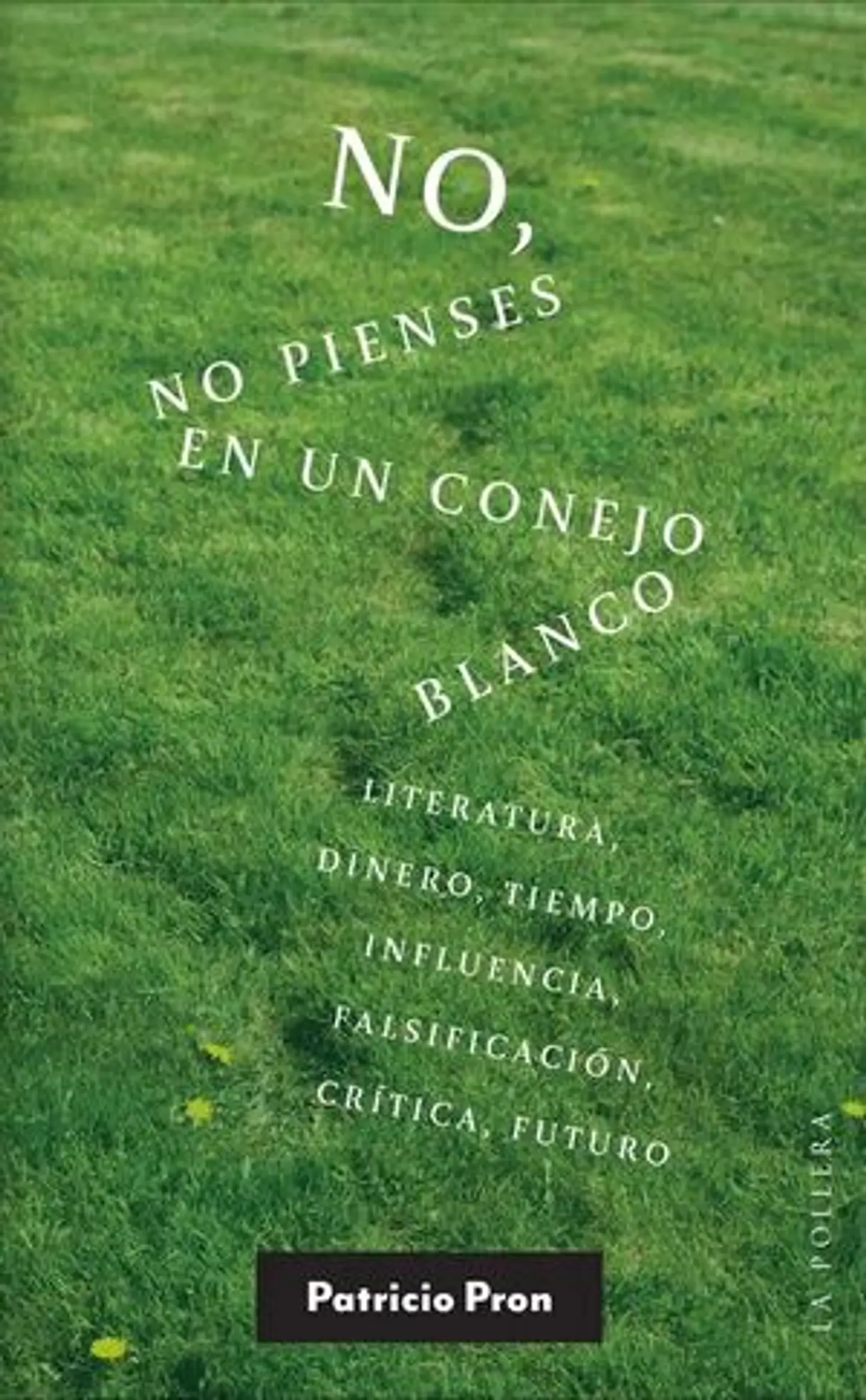 NO NO PIENSES EN UN CONEJO BLANCO 1