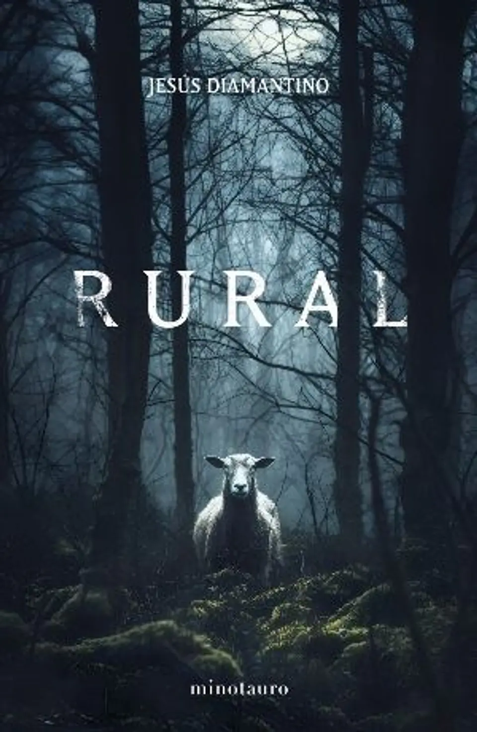 RURAL 1