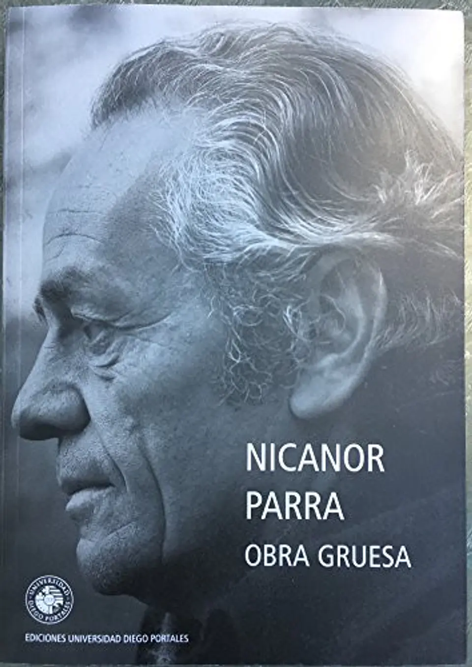 OBRA GRUESA 1