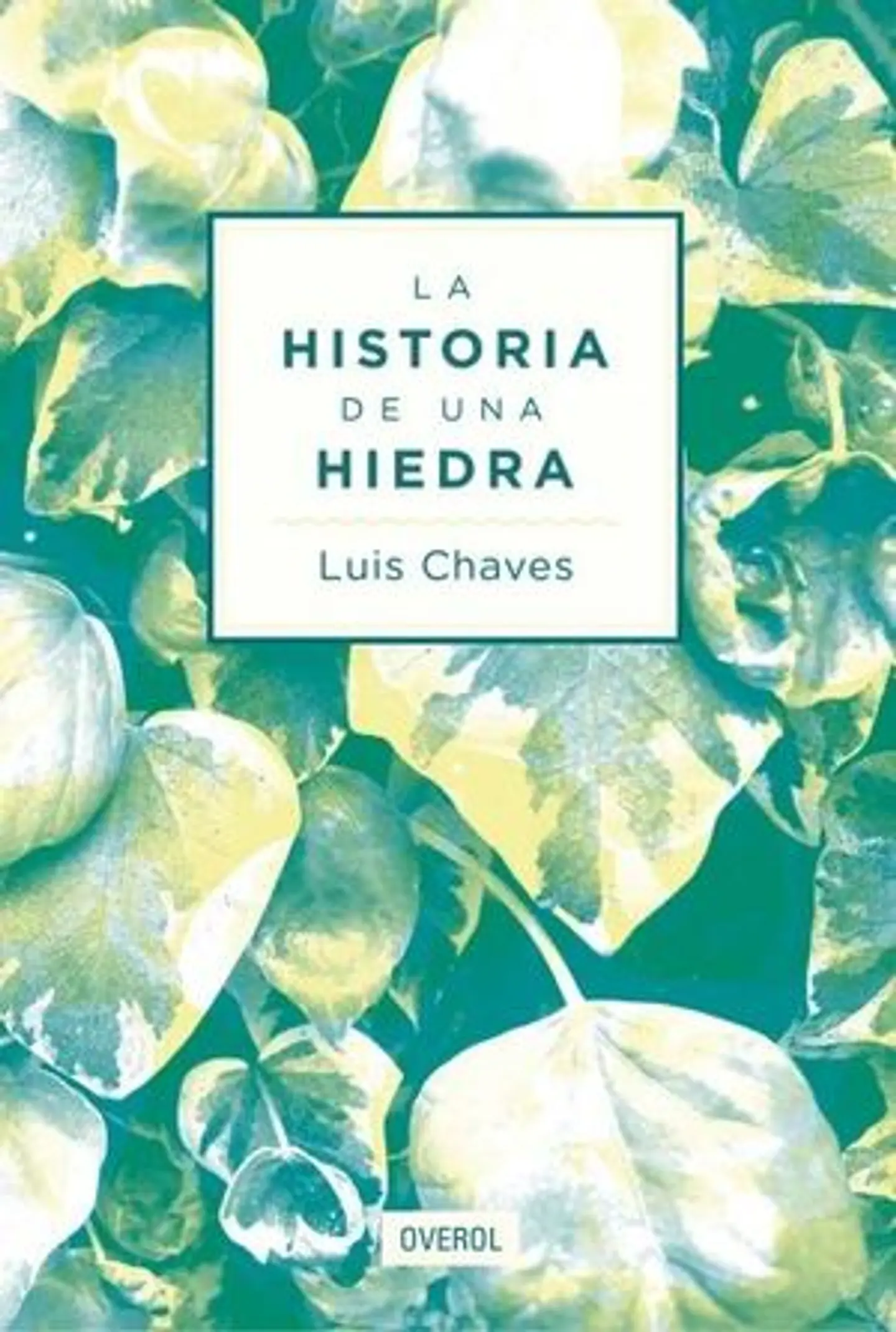 LA HISTORIA DE UNA HIEDRA 1