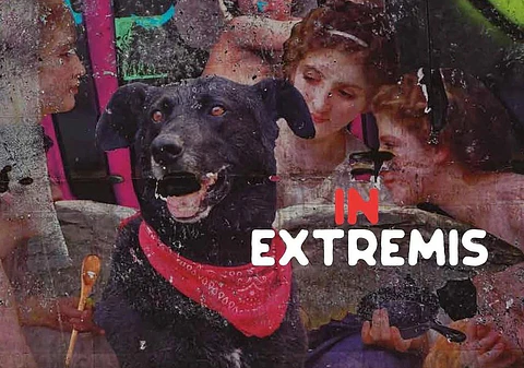 IN EXTREMIS