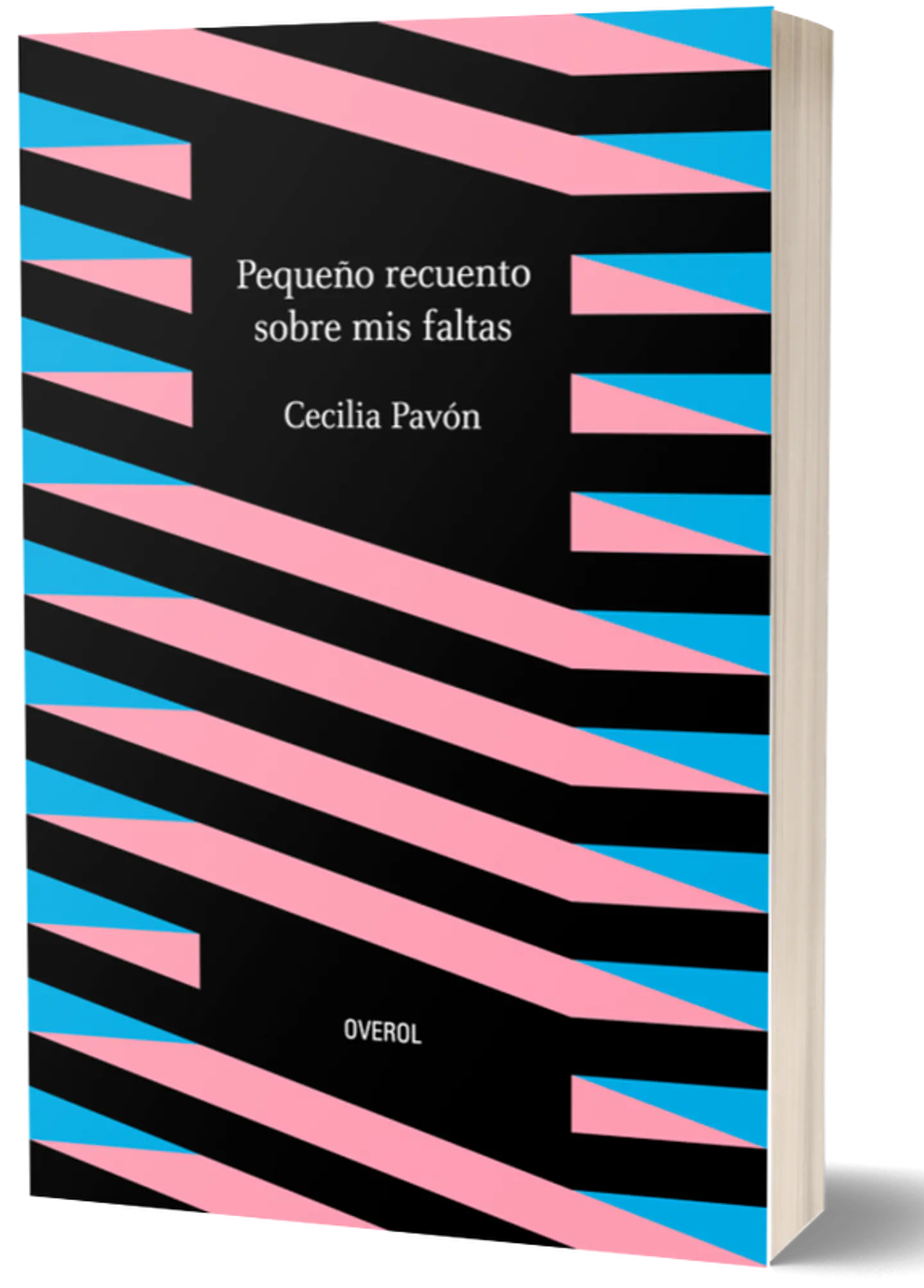 PEQUEÑOS RECUERDOS SOBRE MIS FALTAS 1