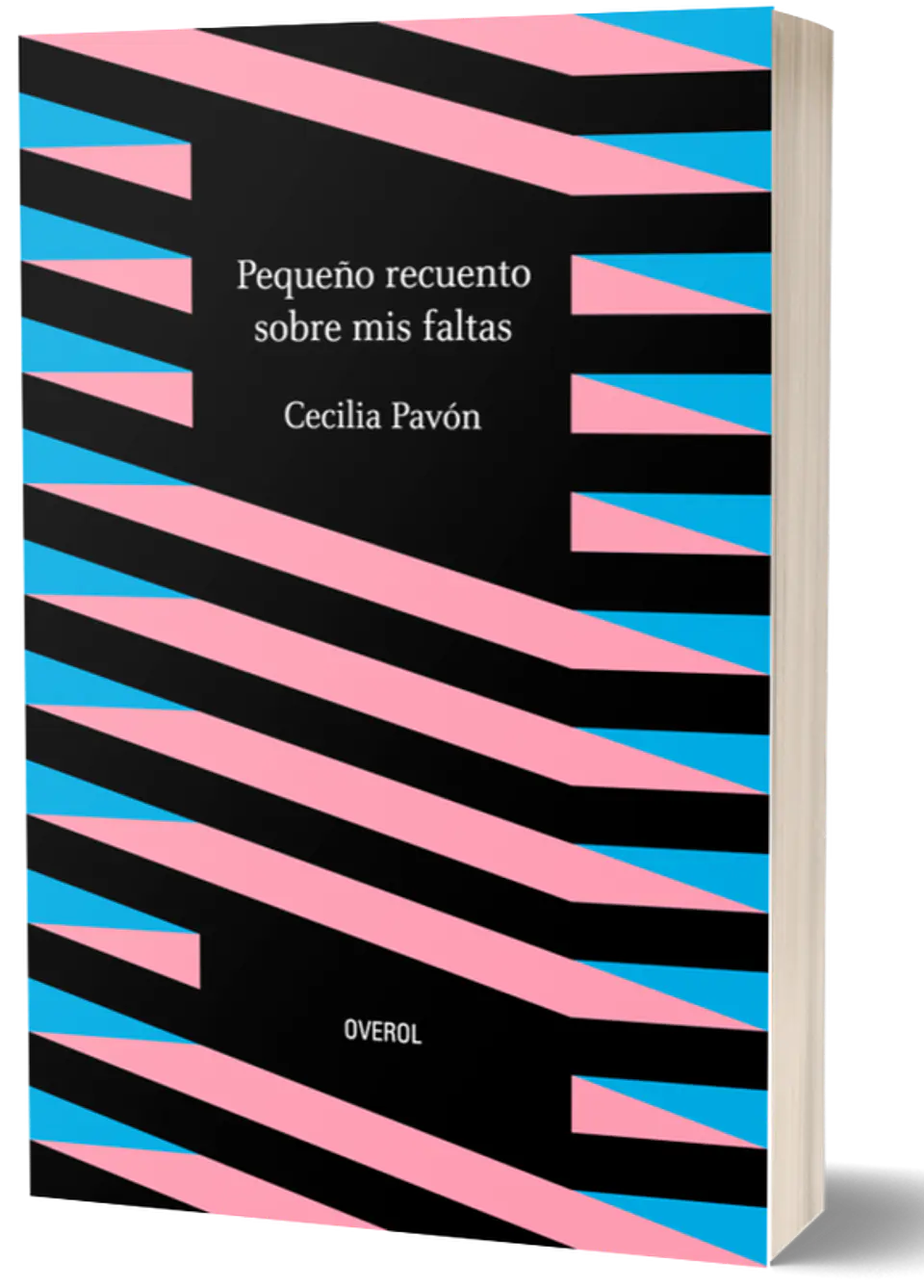 PEQUEÑOS RECUERDOS SOBRE MIS FALTAS 1