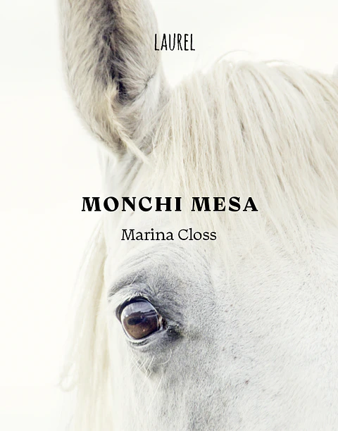 MONCHI MESA