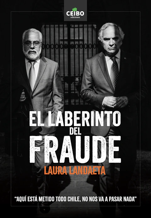 EL LABERINTO DEL FRAUDE