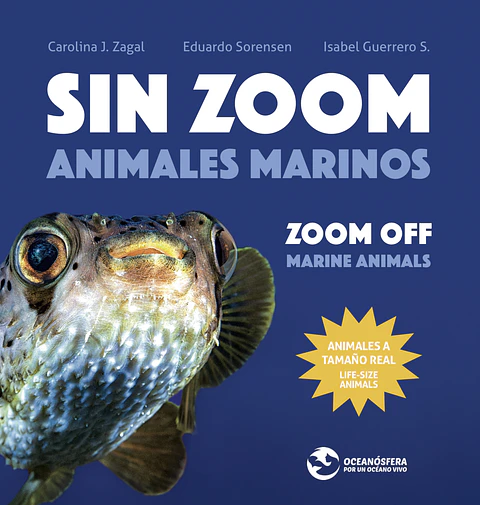 SIN ZOOM ANIMALES MARINOS