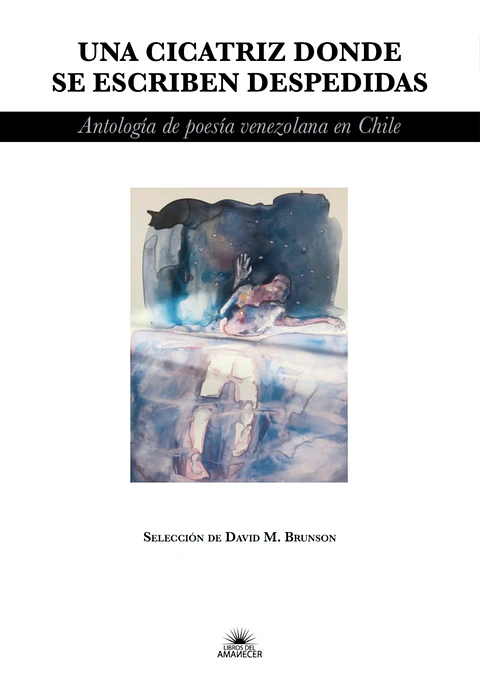 UNA CICATRIZ DONDE SE ESCRIBEN DESPEDIDAS