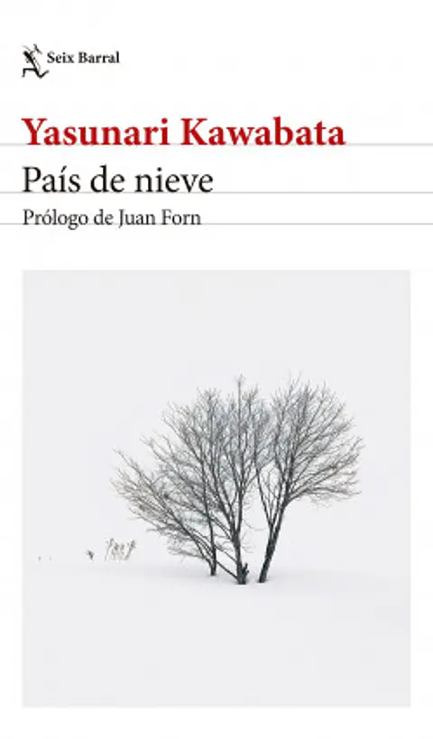 PAIS DE NIEVE