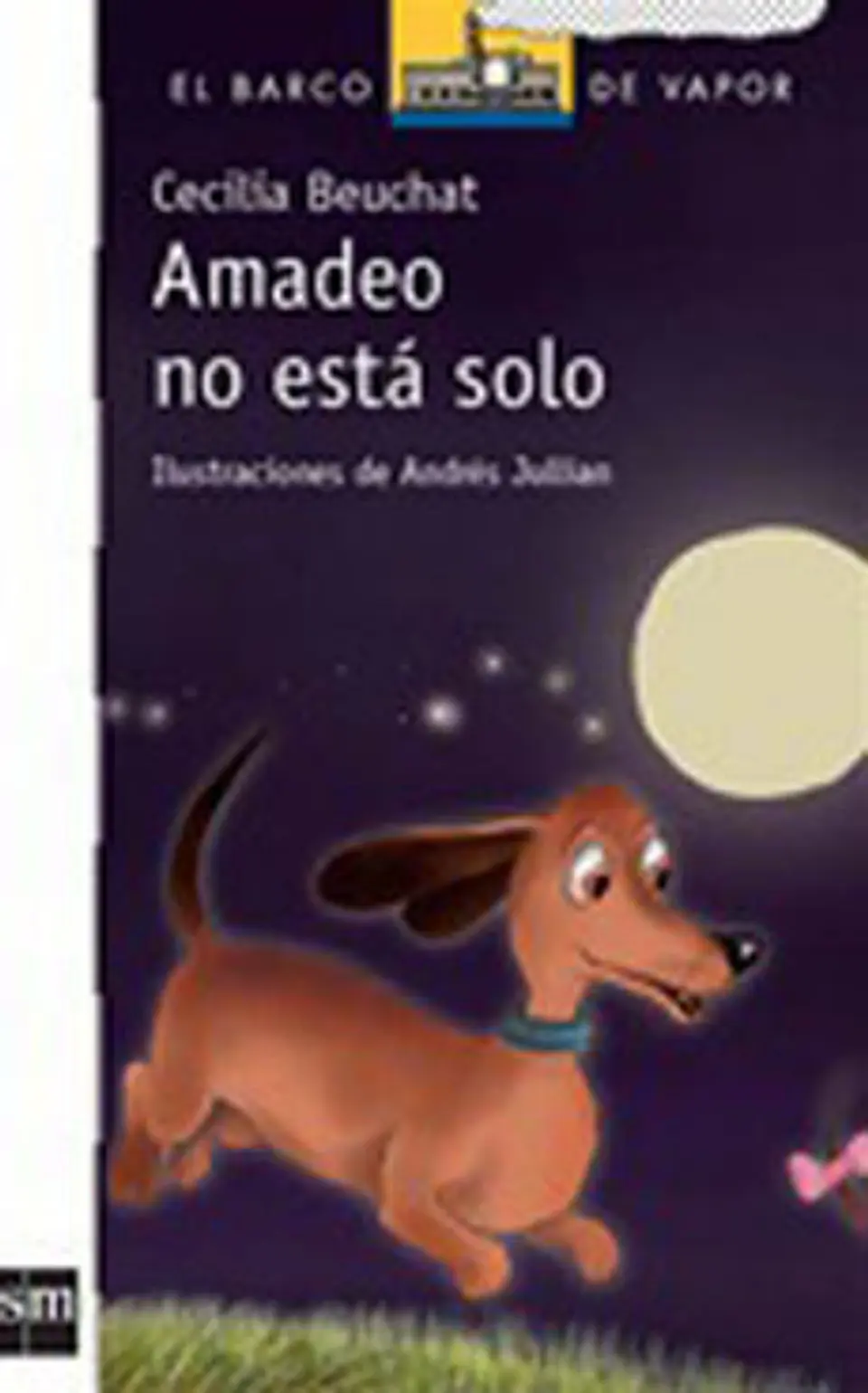 AMADEO NO ESTA SOLO 1