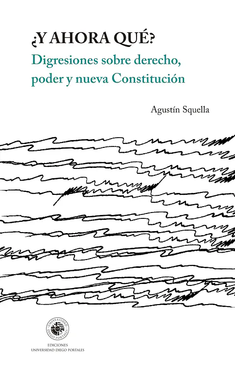 Y AHORA QUE. DIGRESIONES SOBRE DERECHO, PODER Y NUEVA CONSTITUCION