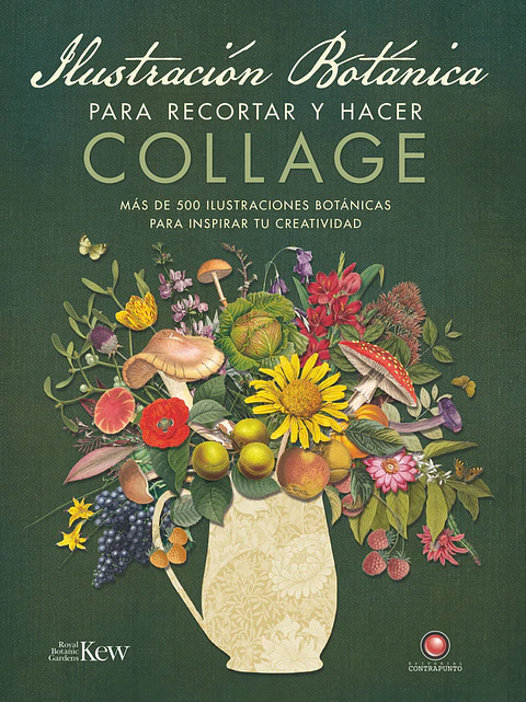 ILUSTRACION BOTANICA PARA RECORTAR Y HACER COLLAGE