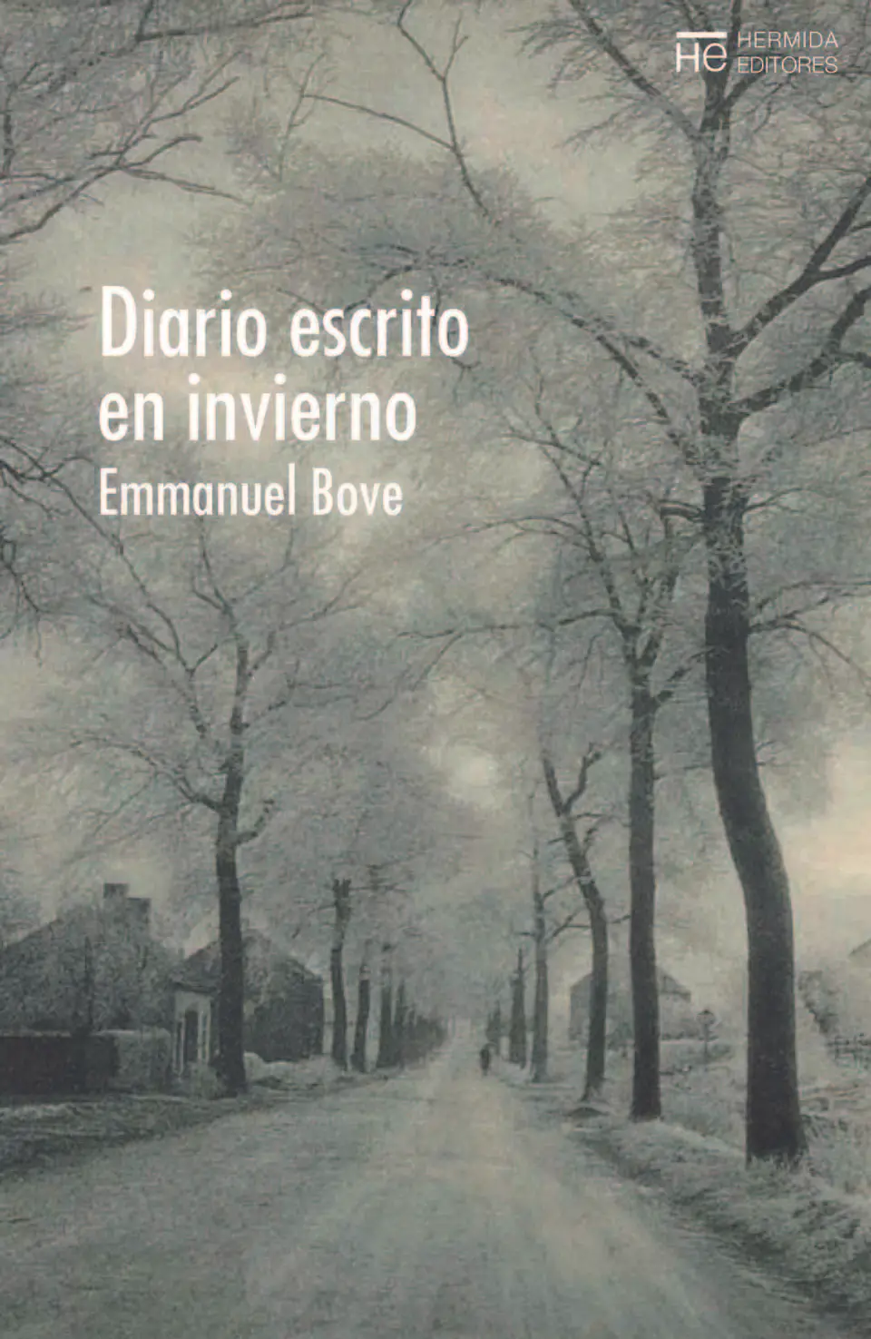 DIARIO ESCRITO EN INVIERNO 1