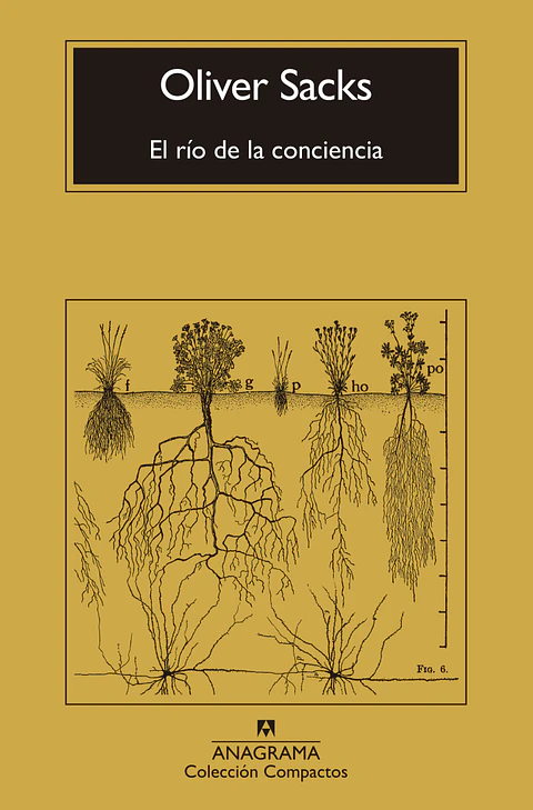 EL RIO DE LA CONCIENCIA