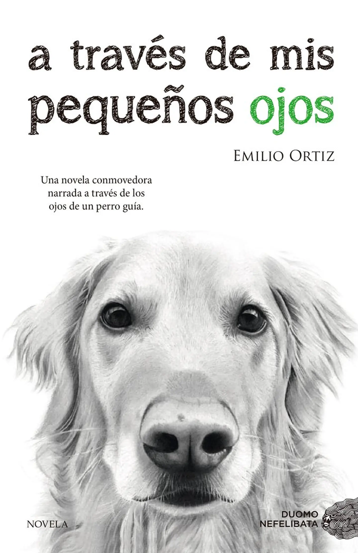A TRAVES DE MIS PEQUEÑOS OJOS 1