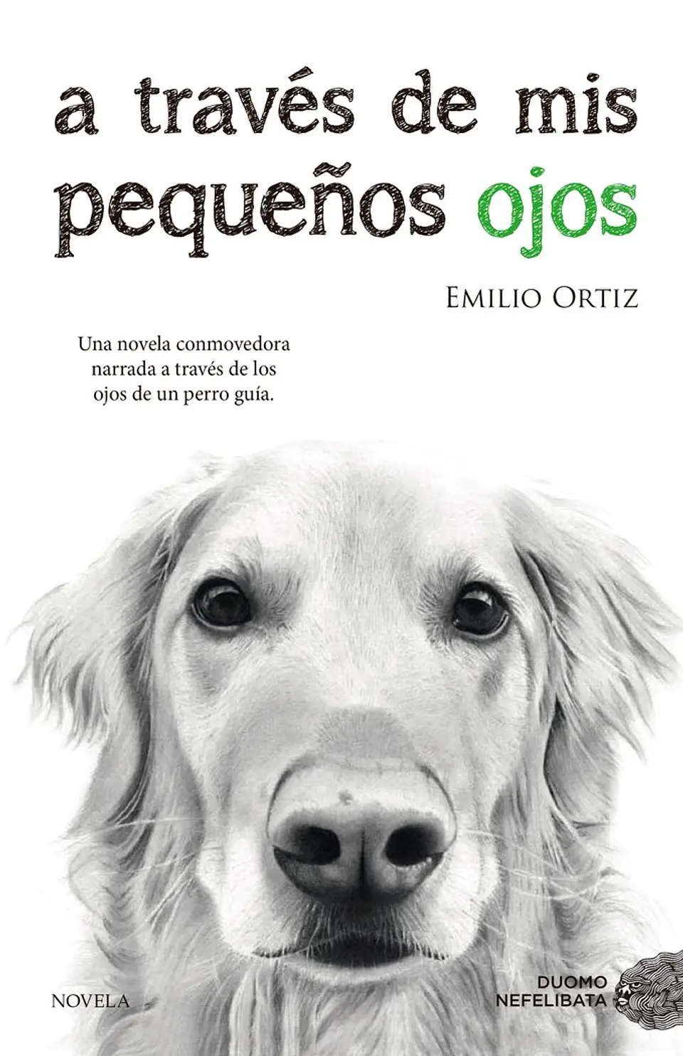 A TRAVES DE MIS PEQUEÑOS OJOS 1