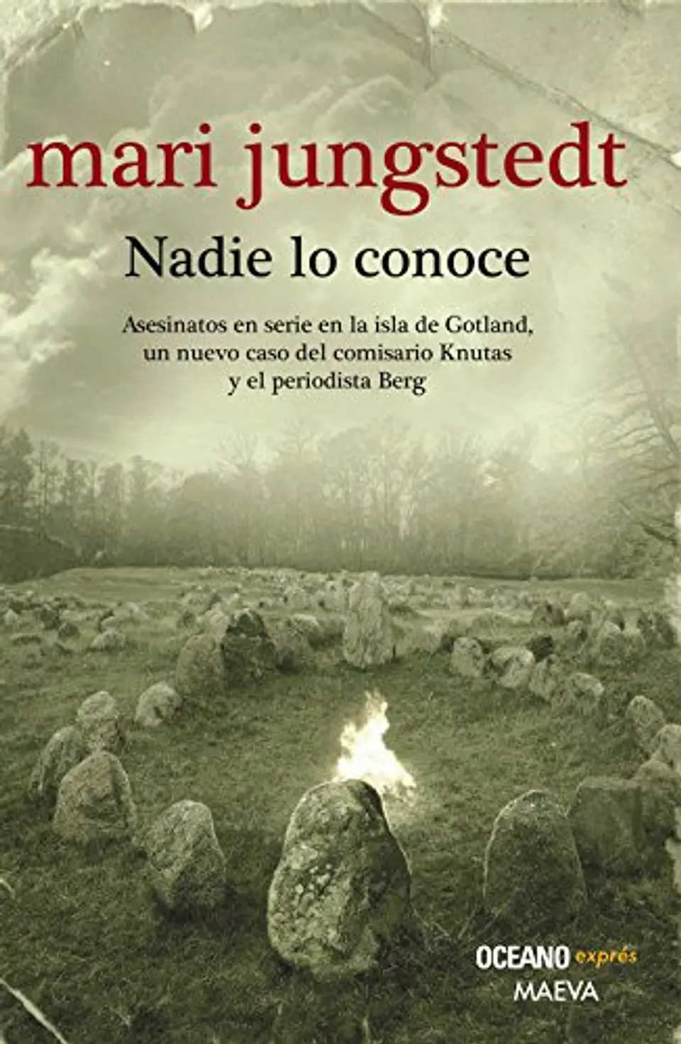 NADIE LO CONOCE 1