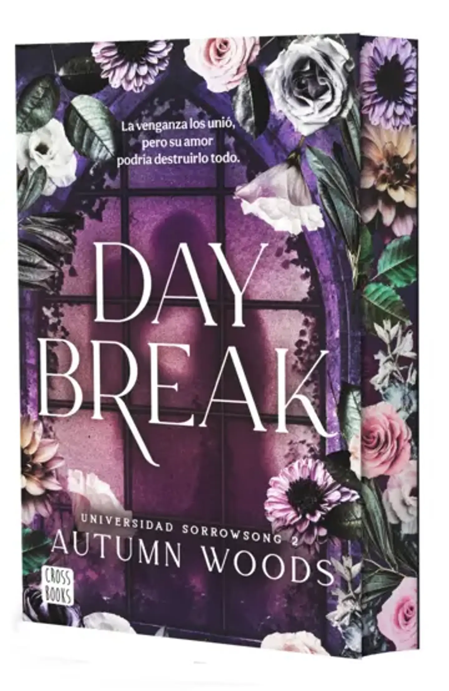 DAYBREAK UNIVERSIDAD SORROWSON 2 1