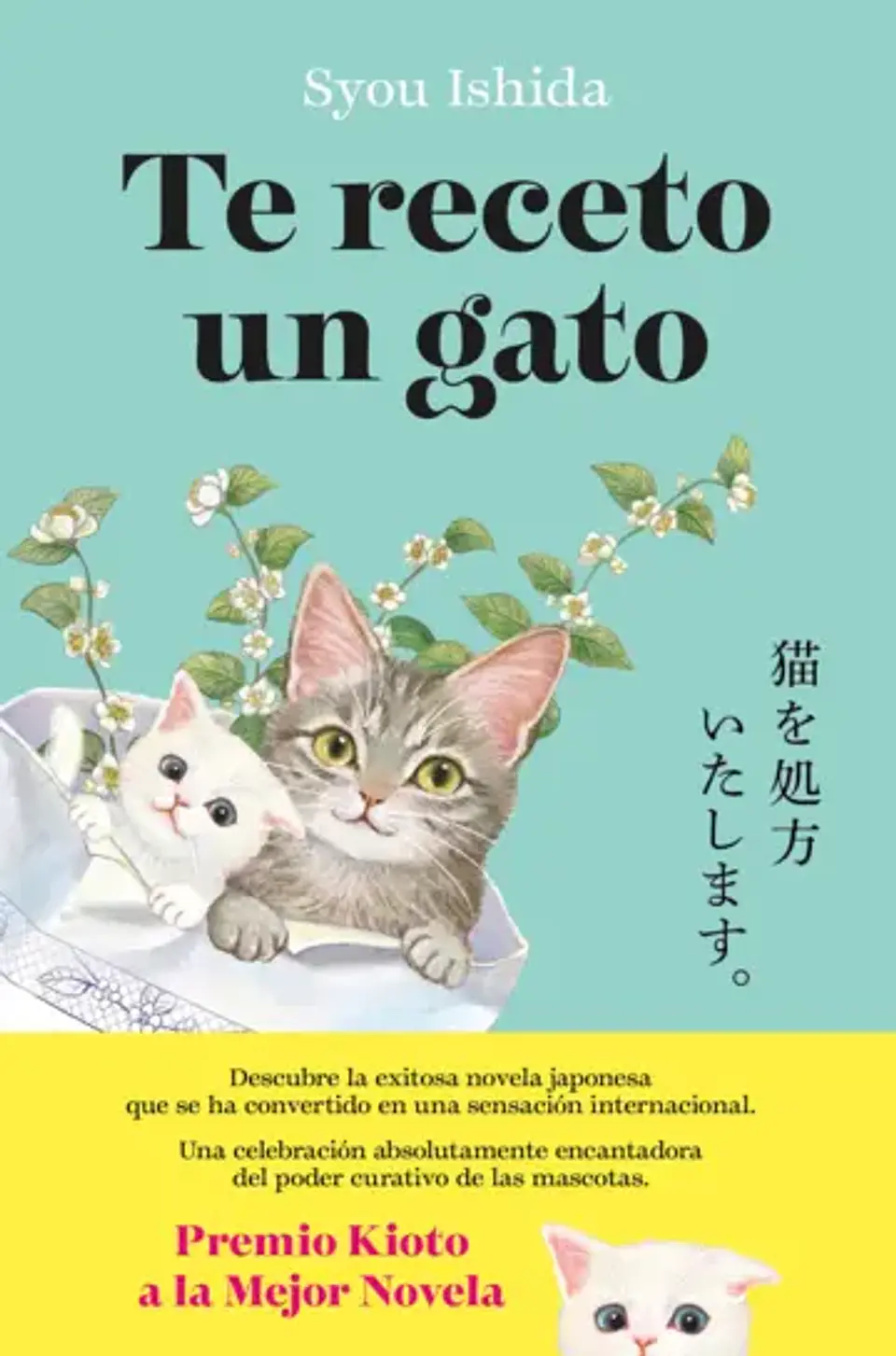 TE RECETO UN GATO 1
