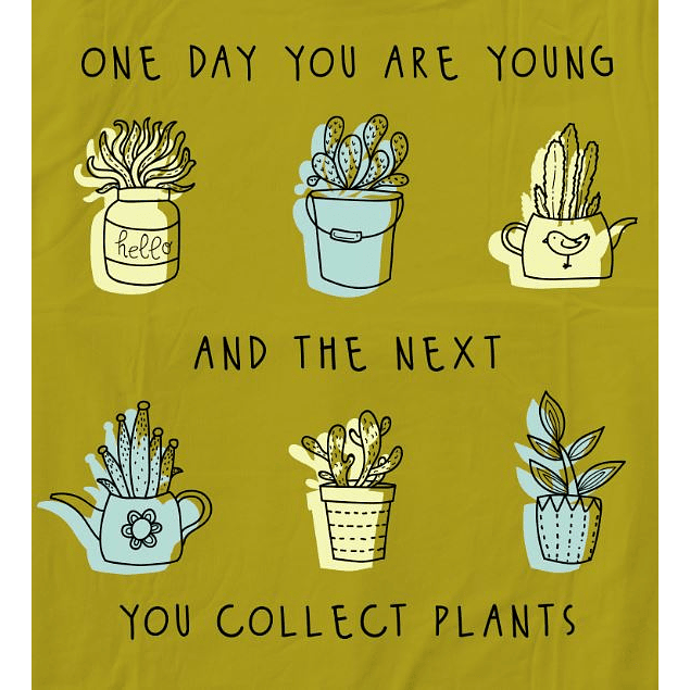 one day plants