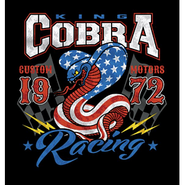 Cobra Racing