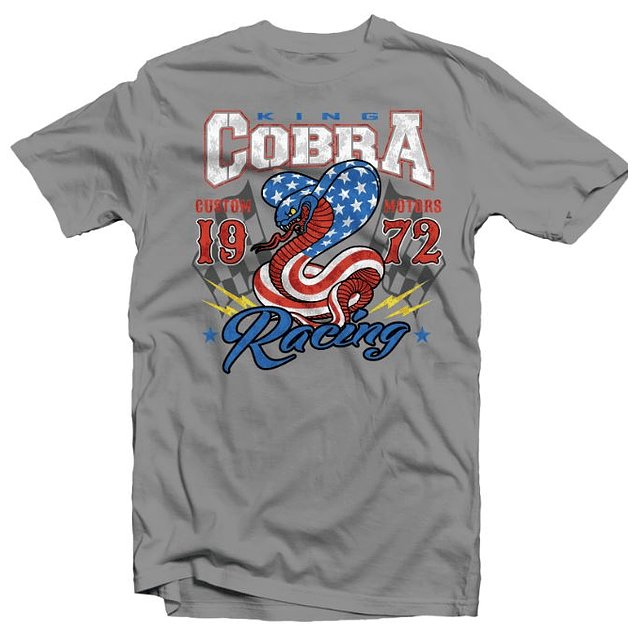 Cobra Racing