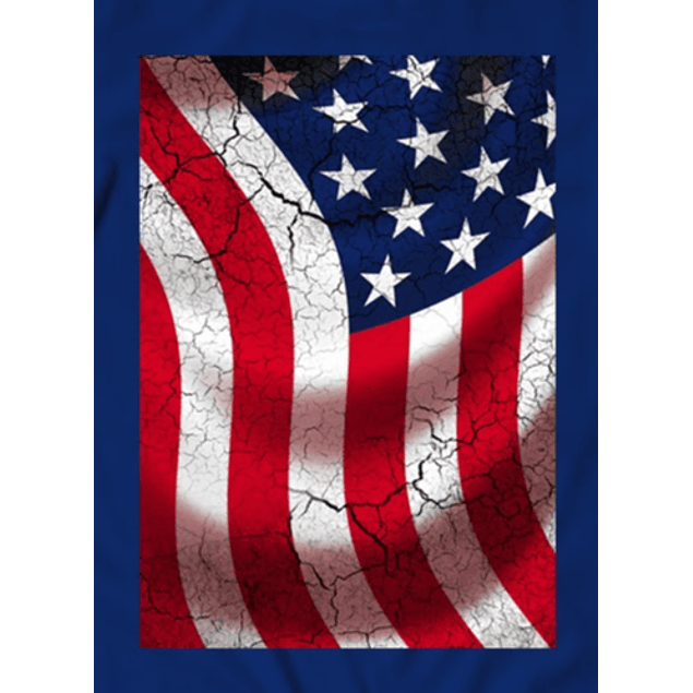Usa Flag Textured