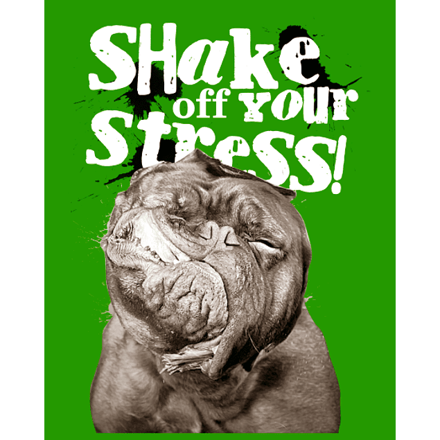 Shake off your stress