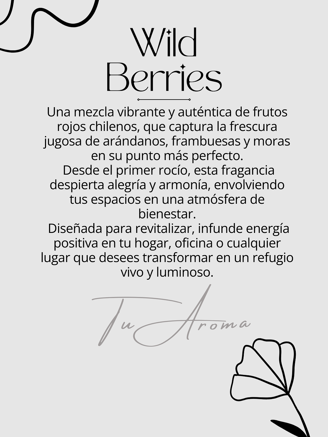 Difusor de Vehículo  3