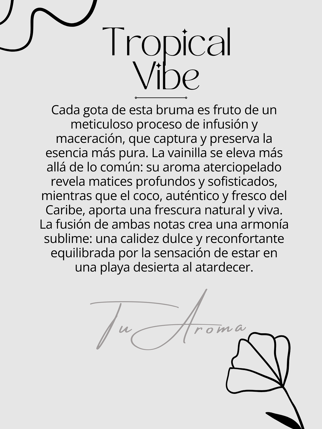 Difusor de Vehículo  6