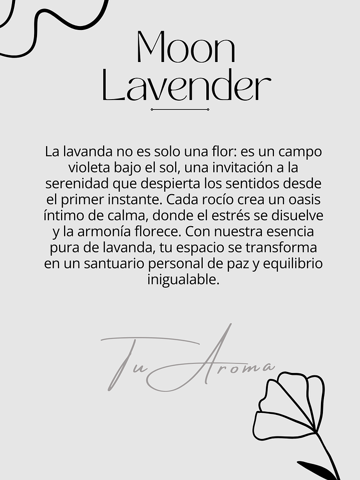 Difusor de Vehículo  5