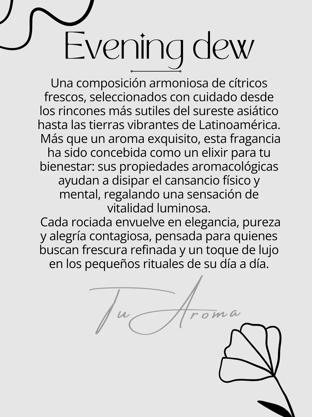 Difusor de Vehículo  2