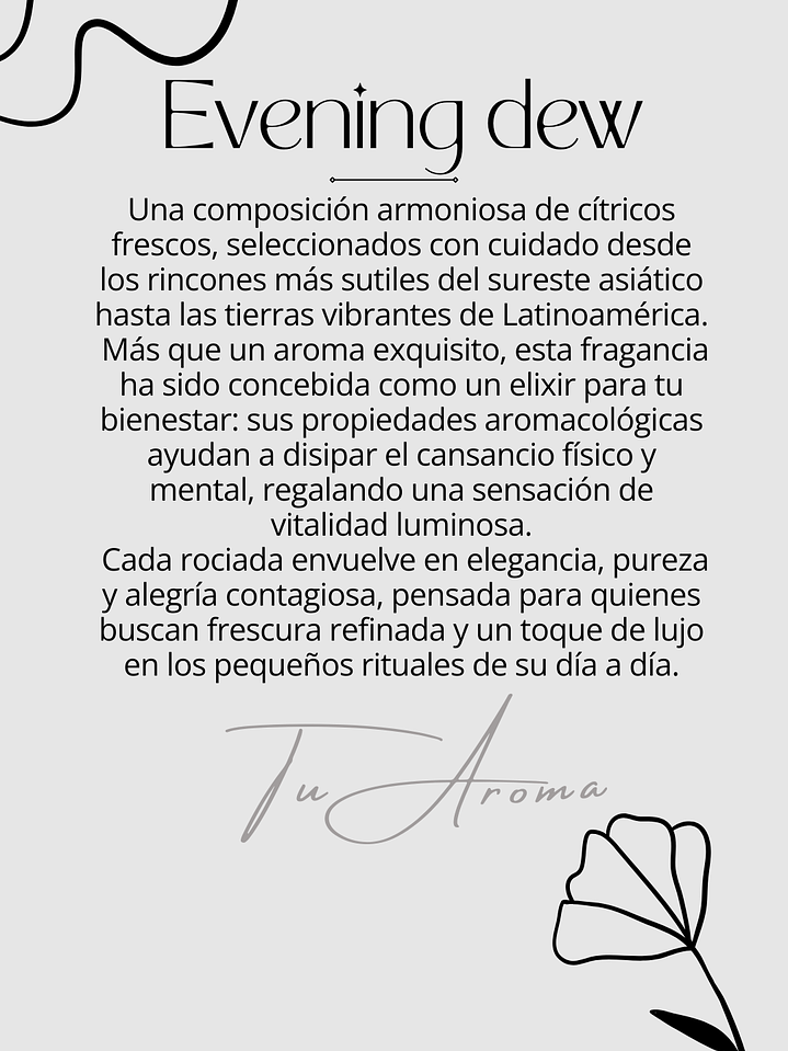 Difusor de Vehículo  2