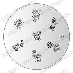 M53-disco diseño konad