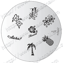 M29-disco diseño konad