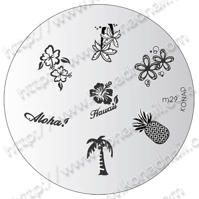 M29-disco diseño konad